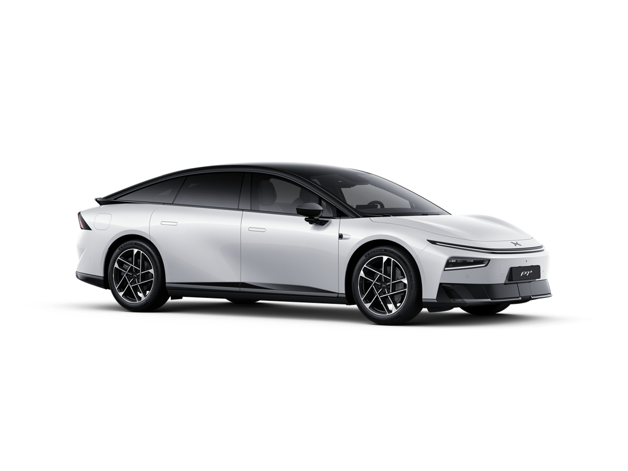 P7+ (1)