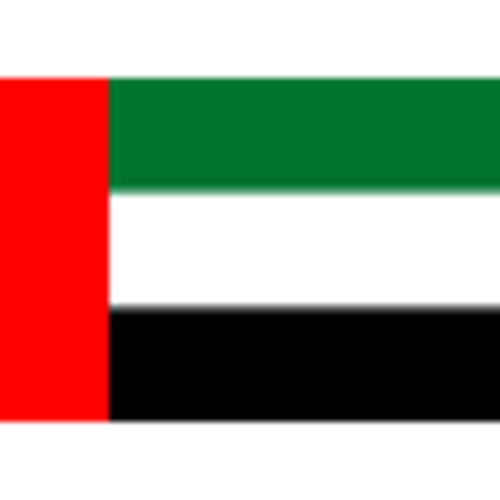 UAE flag